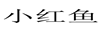 小紅魚(yú)