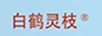 白鶴靈枝