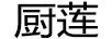 廚蓮