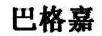 巴格嘉