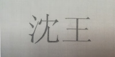 沈王