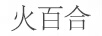 火百合