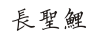 長圣鯉
