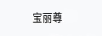 寶麗尊