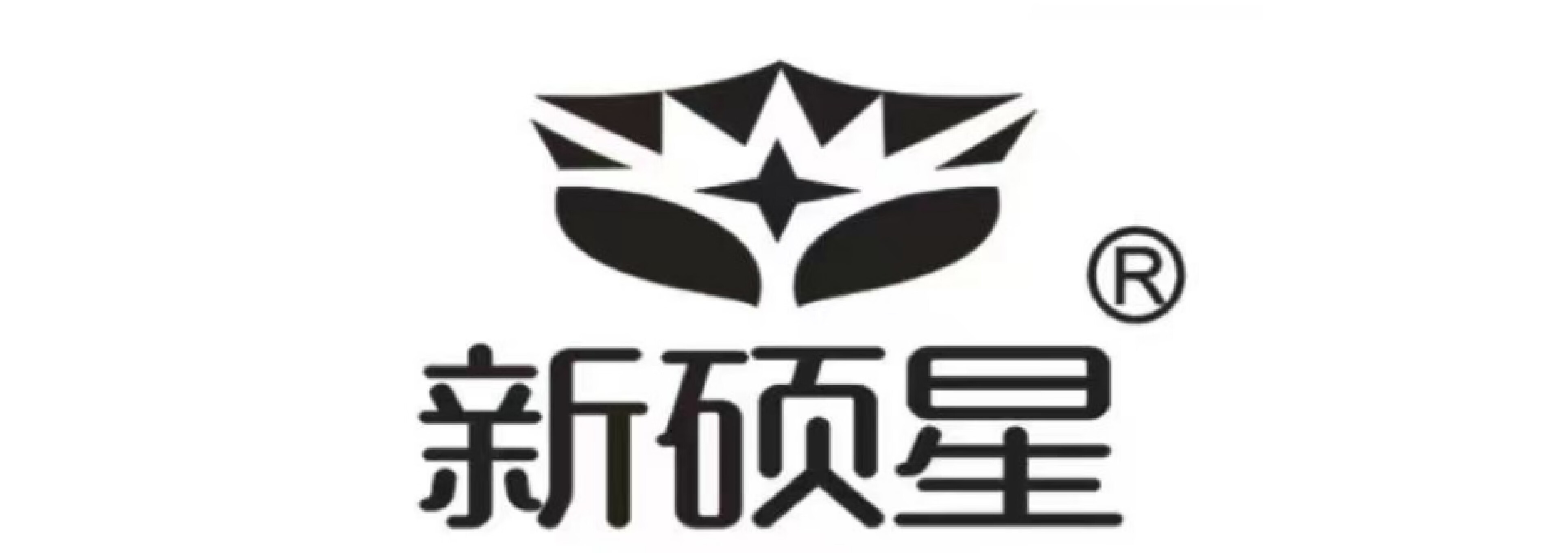 新碩星