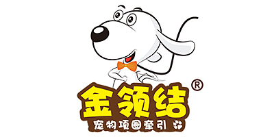 金領(lǐng)結