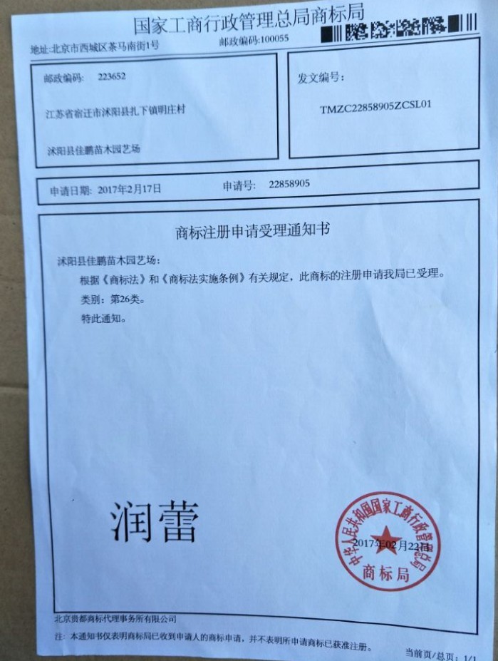 潤蕾