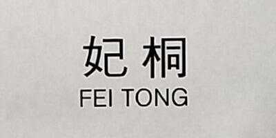 妃桐（FEI TONG）