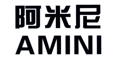 阿米尼（AMINI）