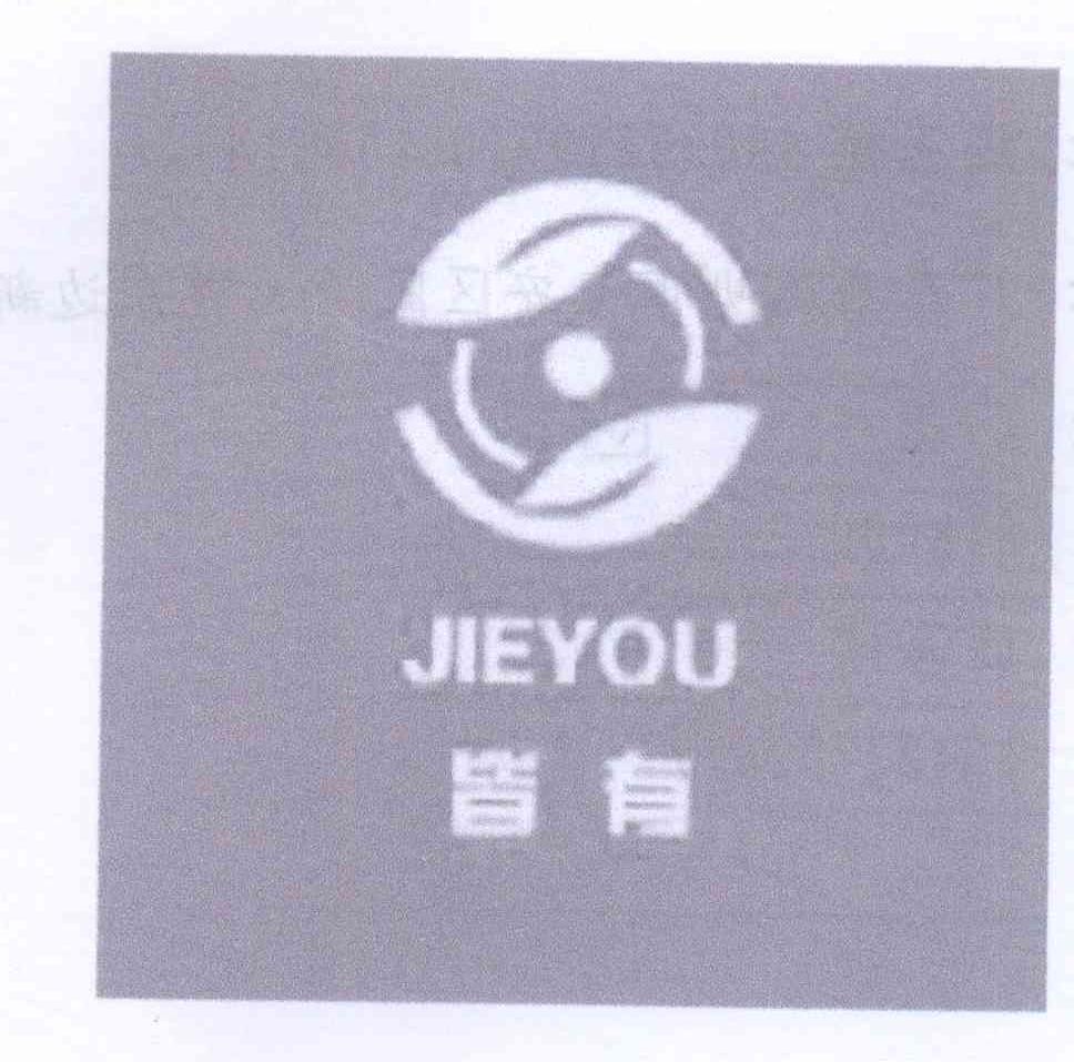 皆有（JIEYOU）