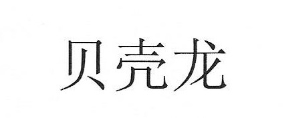 貝殼龍