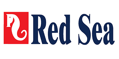 Red Sea