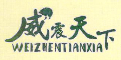 威震天下（WEIZHENTIANXIA）