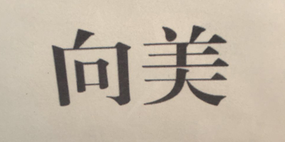 向美