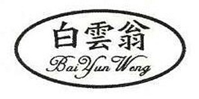 白云翁