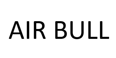 AIR BULL