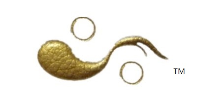武樂(lè )