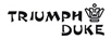 凱爵（Triumph Duke）
