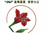 百合花
