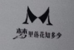 夢里落花知多少