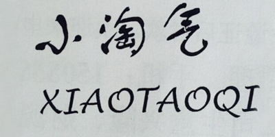 小淘氣（xiaotaoqi）