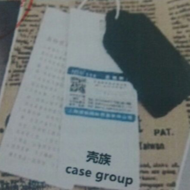 殼族（case group）