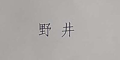 野井