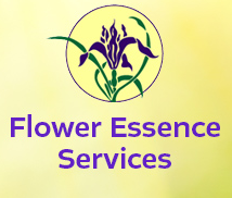 Flower Essence Services