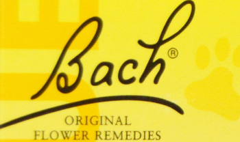 Bach