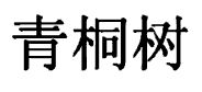 青桐樹