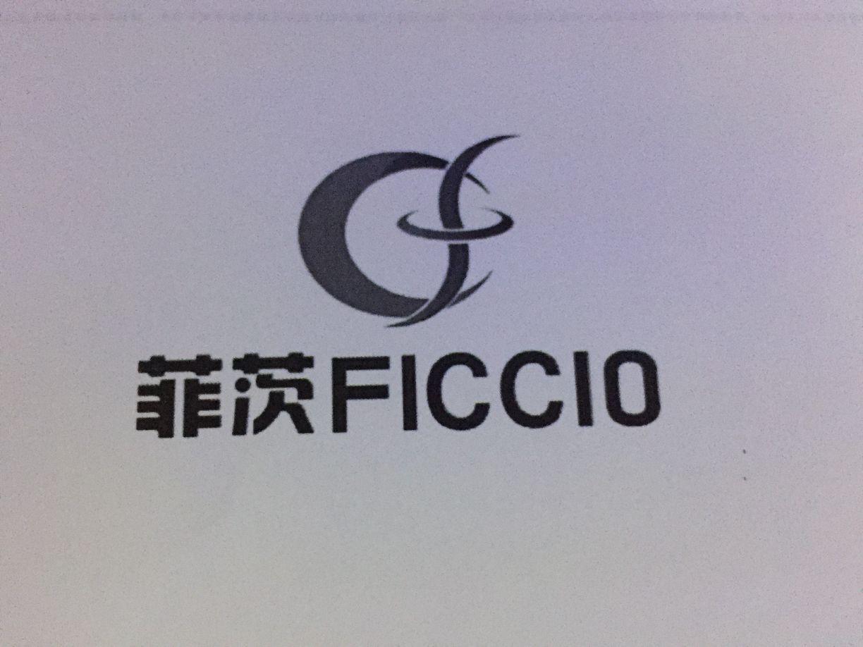菲茨（FICCIO）