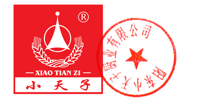 小天子（XIAO TIAN ZI）