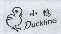 小鴨（Duckling）