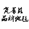 嵐蒂茲