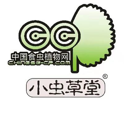 小蟲(chóng)草堂