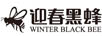 迎春黑蜂