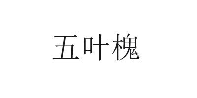 五葉槐