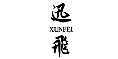 迅飛（XUNFEI）