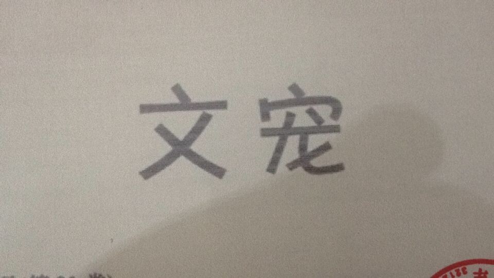 文寵