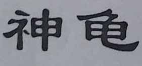 神龜