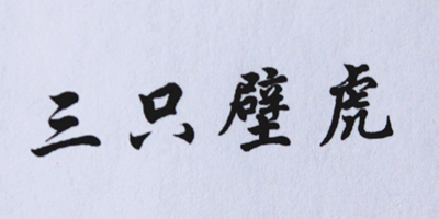 三只壁虎