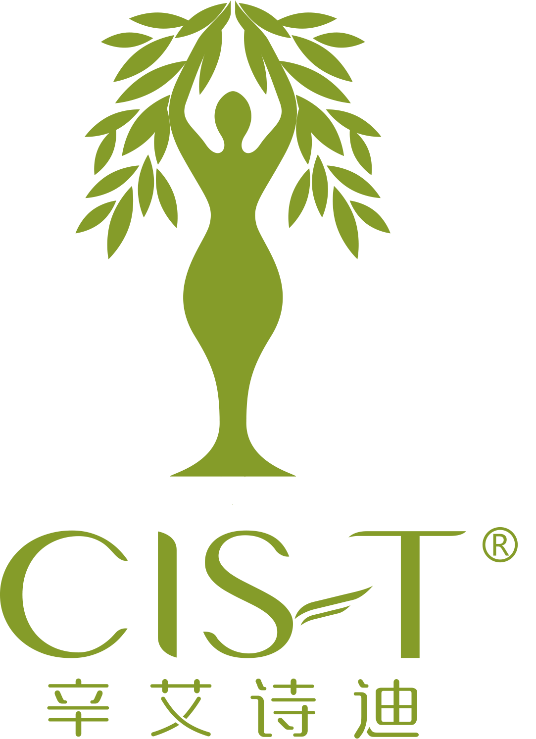 辛艾詩(shī)迪（CIS-T）