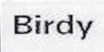 Birdy