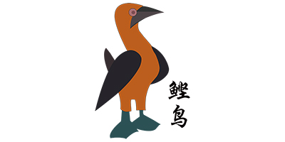鰹鳥(niǎo)