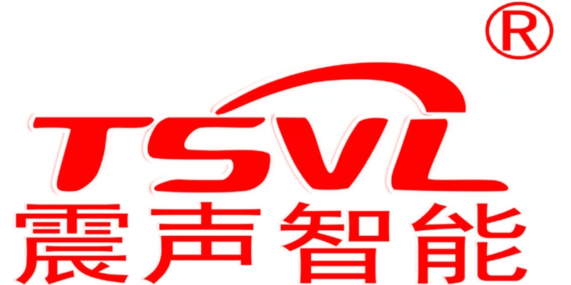 震聲智能（TSVL）