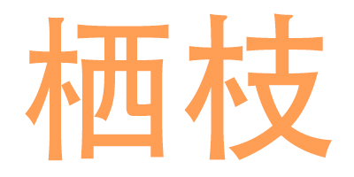 棲枝