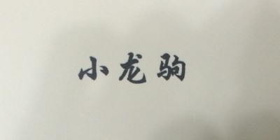 小龍駒