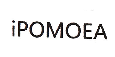 iPOMOEA