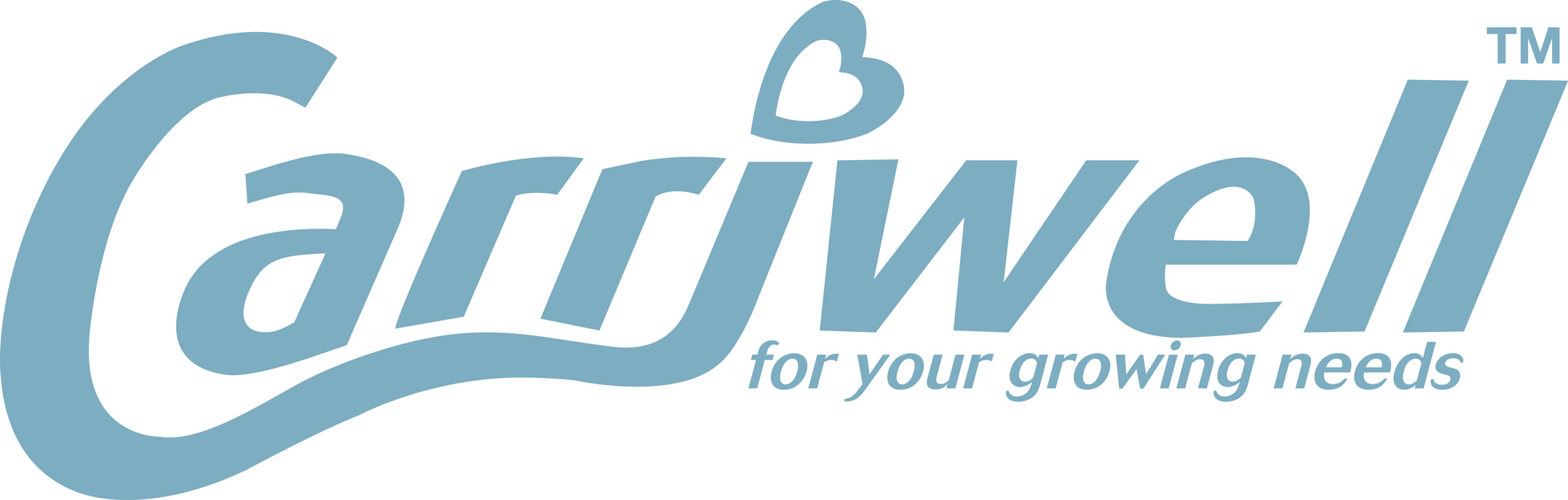 CARRIWELL COMFORT IN STYLE