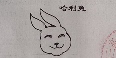哈利兔